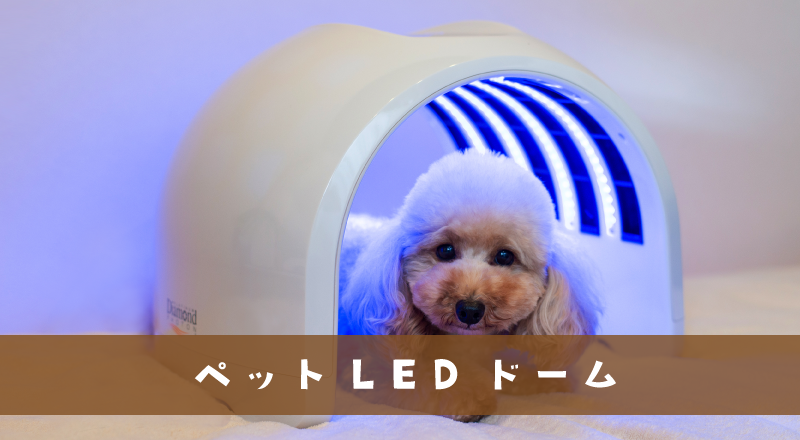 LEDドーム